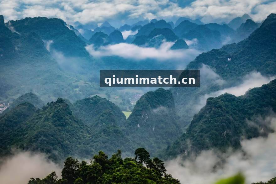 球迷网 球迷社区互动服务